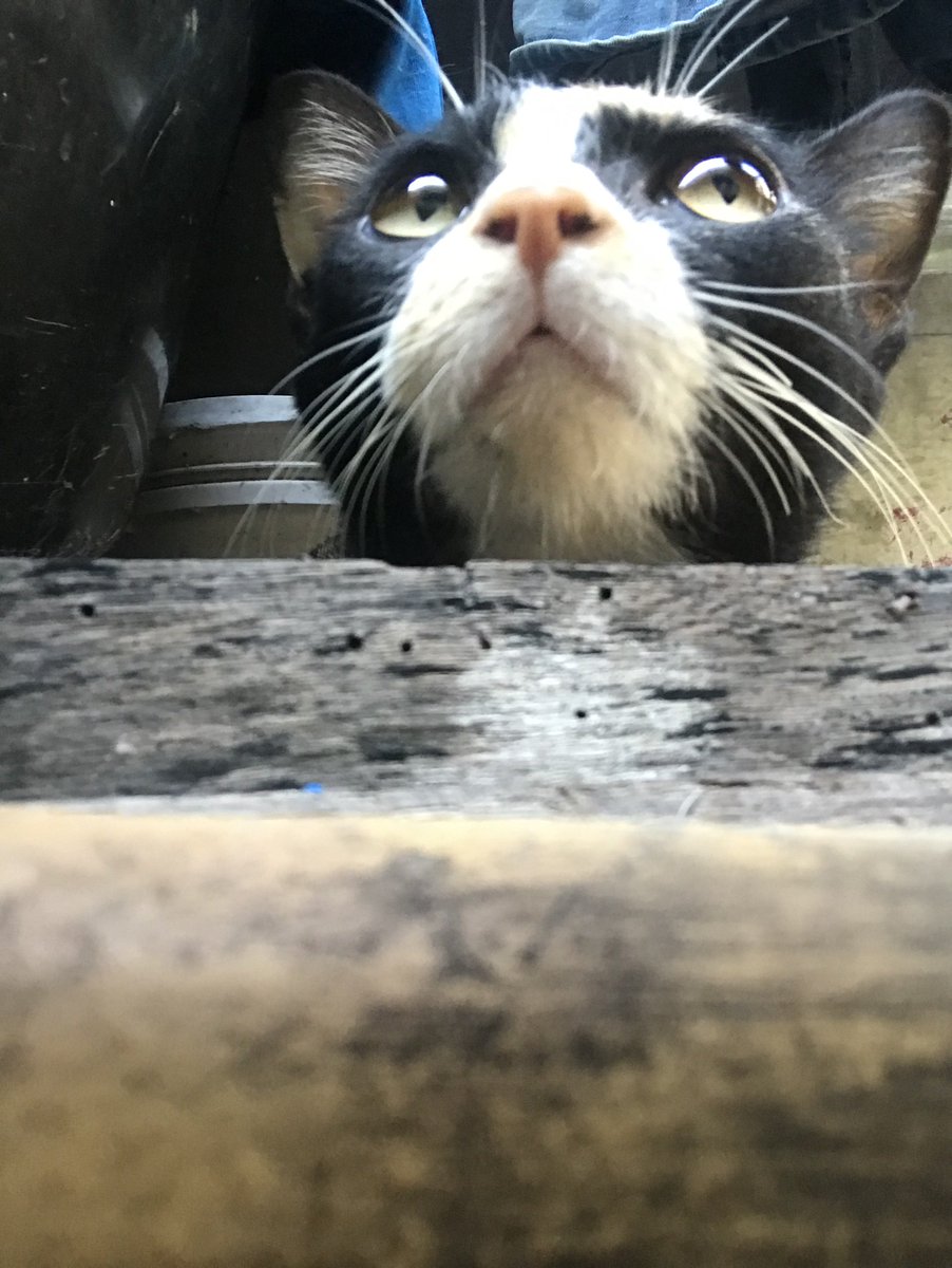 渐入 (@vanlounge7788) on Twitter photo 