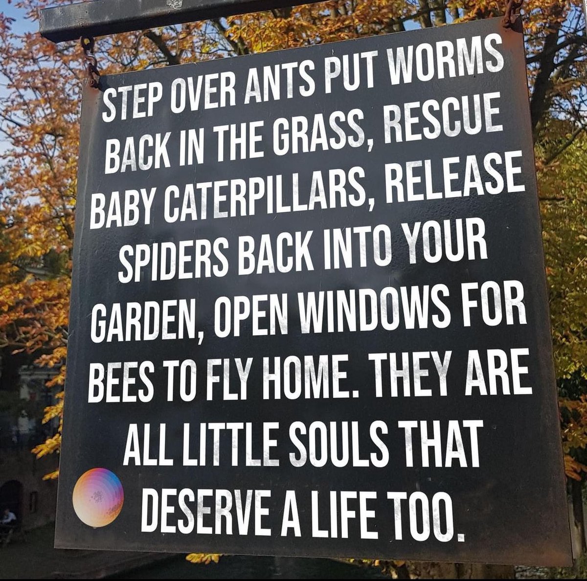 Kelly Cuip (@kellycuip) on Twitter photo 