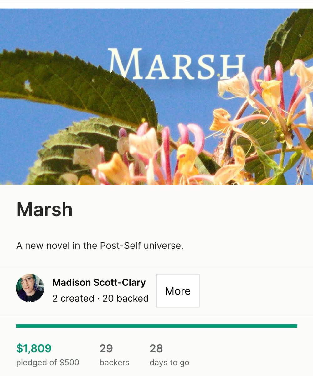 Marsh is now funded to $1800, meeting all of the original stretch goals! Hardcover, anthologies of short stories, + TTRPG module surrounding the events of the book. More to come, including stickers and bookplates as well as an audio book, so check it out! Kickstarter.com/projects/drabm…