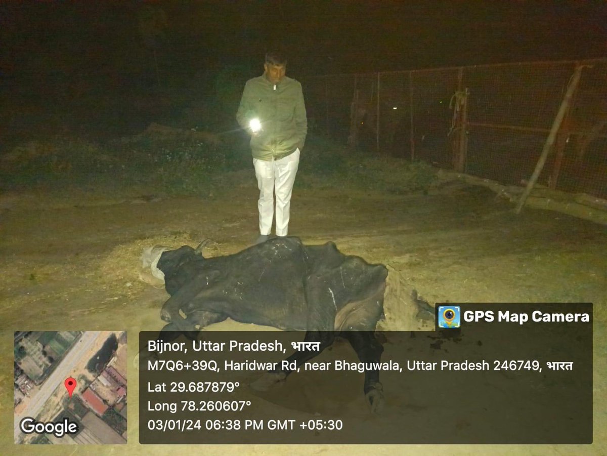 जय श्री राम
आज शाम सूचना मिली कि  जिला बिजनोर तहसील नजीबाबाद   भागुवाला  के पास फरजपुर गौशाला में 15 गाय मरी हुई है ।कई सारी गाय मरणासन्न की स्थिति में है ।गौशाला पहुंच कर स्थिति देखी ।जो कि काफी खराब दिखाई पड़ी ।
 <a href="/dmbijnor/">DM / DEO Bijnor UP</a> <a href="/digmoradabad/">DIG Range Moradabad</a> <a href="/myogiadityanath/">Yogi Adityanath</a> <a href="/AvkushSingh/">Avkush Singh Malik</a>