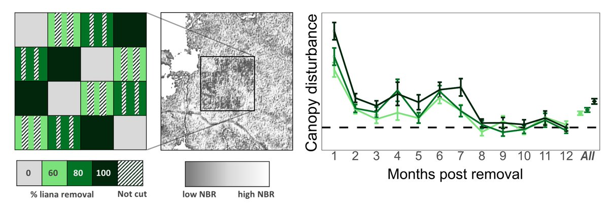 Catherine Finlayson tweet media