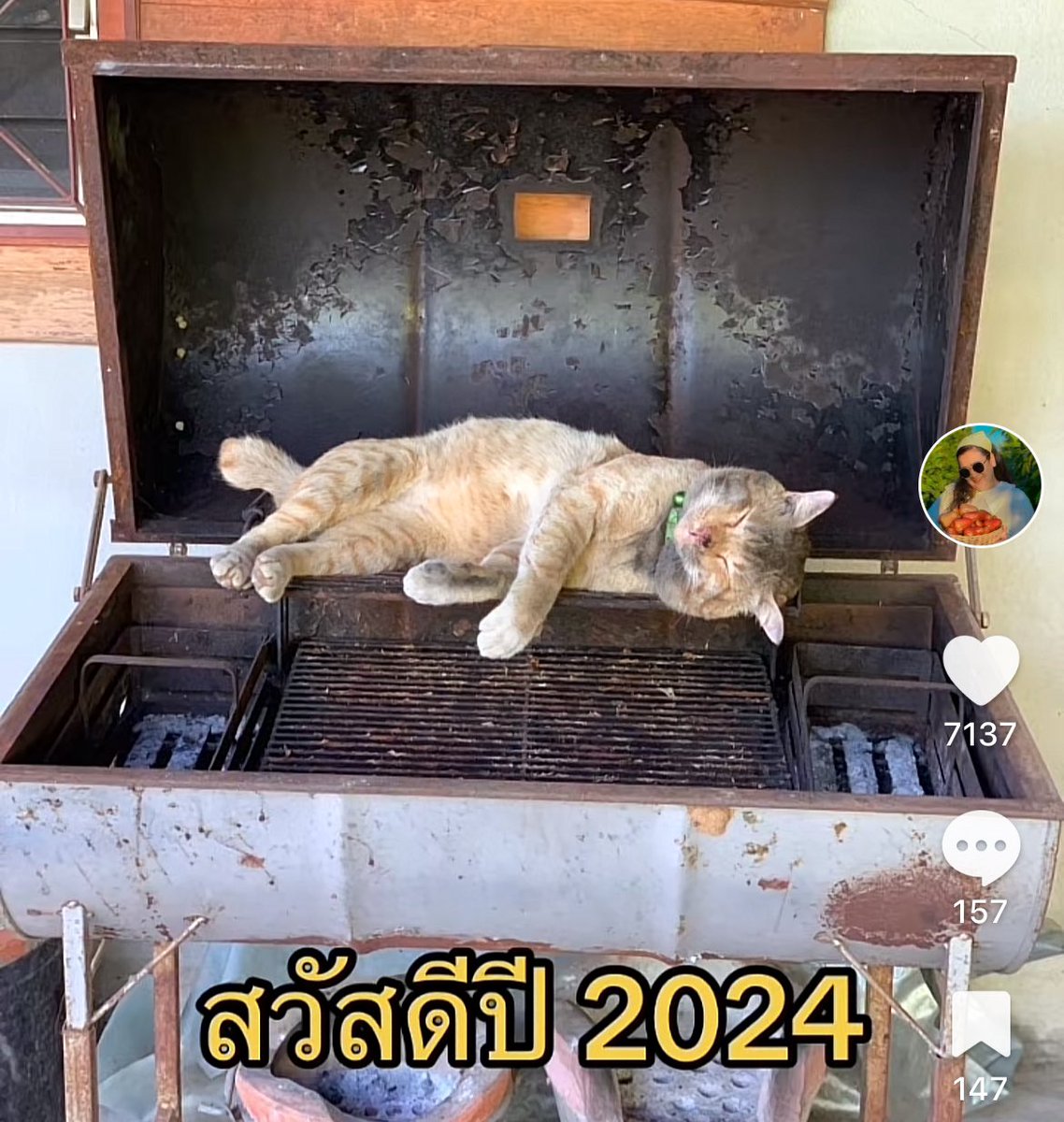 ปป🦋 tweet media