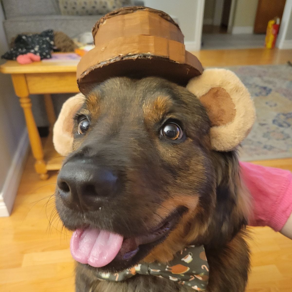 a_wolffy's tweet photo. @Feisty_Waters Finley dressed as fozzy bear https://t.co/PwclJbUtAd