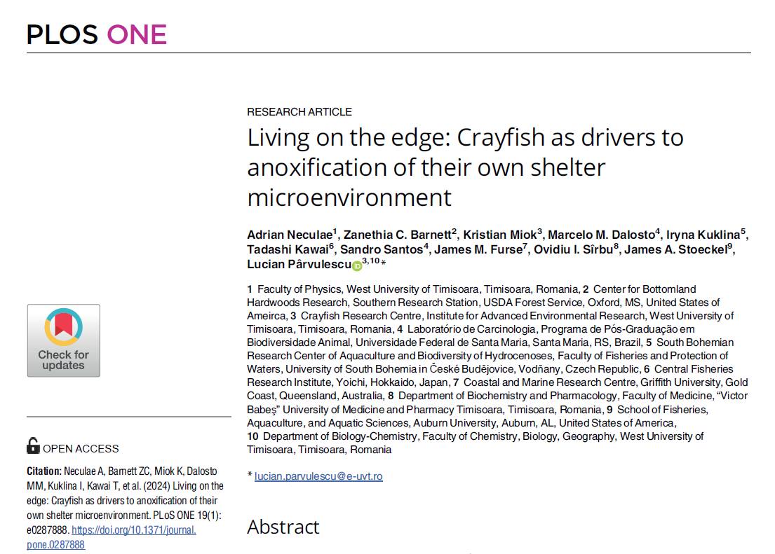 CentreCrayfish's tweet photo. Crayfish are not Superman, they just inherited an extremely spectacular mechanism from their ancestors. The question was what their anaerobic metabolism is used for today. You can find the answer in our paper. @parvulescubio @DrZaneBarn @CrayfishIAA 
https://t.co/oPqzWsAreI https://t.co/B6yuf3nH1W