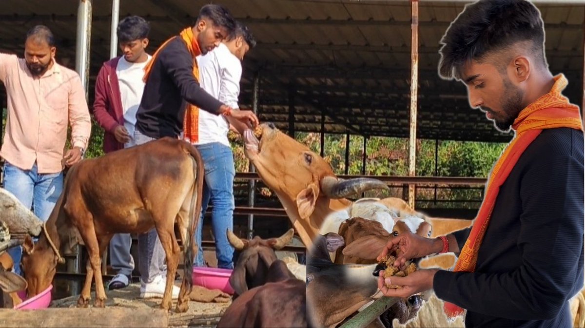 BIRTHDAY CELEBRATION HAMARE STYLE MEIN 🐄❤️||26/12

youtu.be/yPLUYOccmuQ?si…