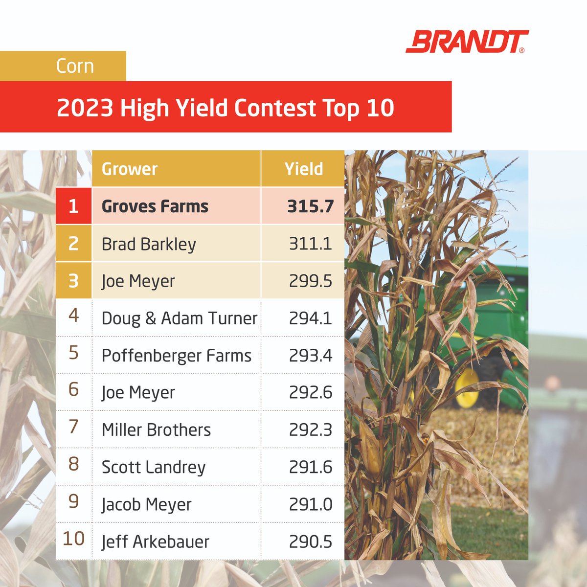 BRANDT_co's tweet photo. The BRANDT High Yield contest results are in! Our top corn grower produced an impressive crop of 315 bu/acre. Collectively our 10 corn growers achieved an average of 298 bu/acre. Congrats to all the winners!
#BRANDT #HighYieldContest #HighYieldCorn #CornGrowers #AgTwitter https://t.co/Lp5BNOmYXW