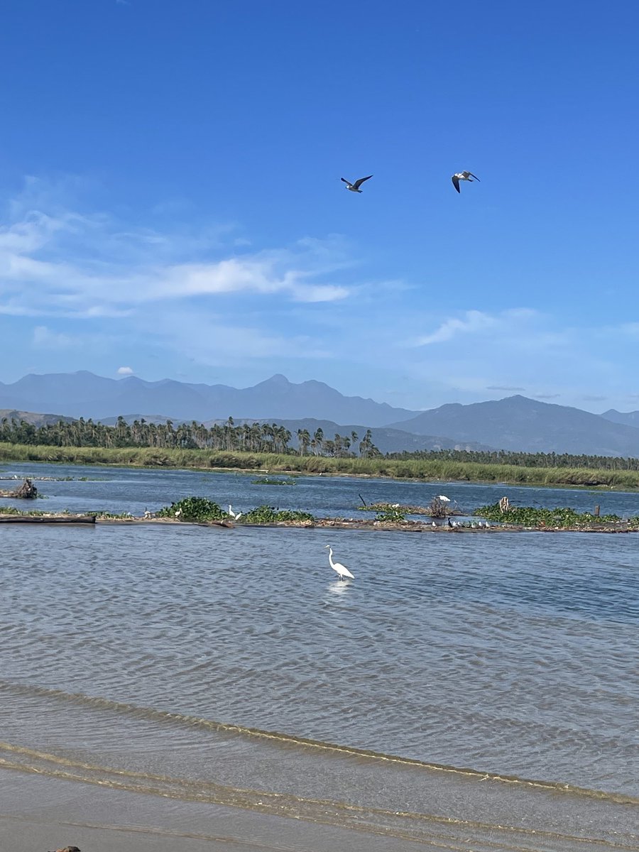 radillacalderon's tweet photo. #Naturaleza #BarraDeCoyuca, relax al millón ! https://t.co/WdbiQVgt1h