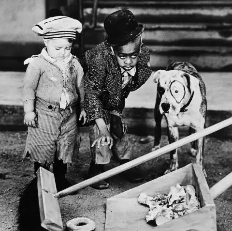 CanadaDaredevil's tweet photo. Stymie and Spanky, old and young. #TheLittleRascals #Spanky #Stymie https://t.co/xbs49uNYWf