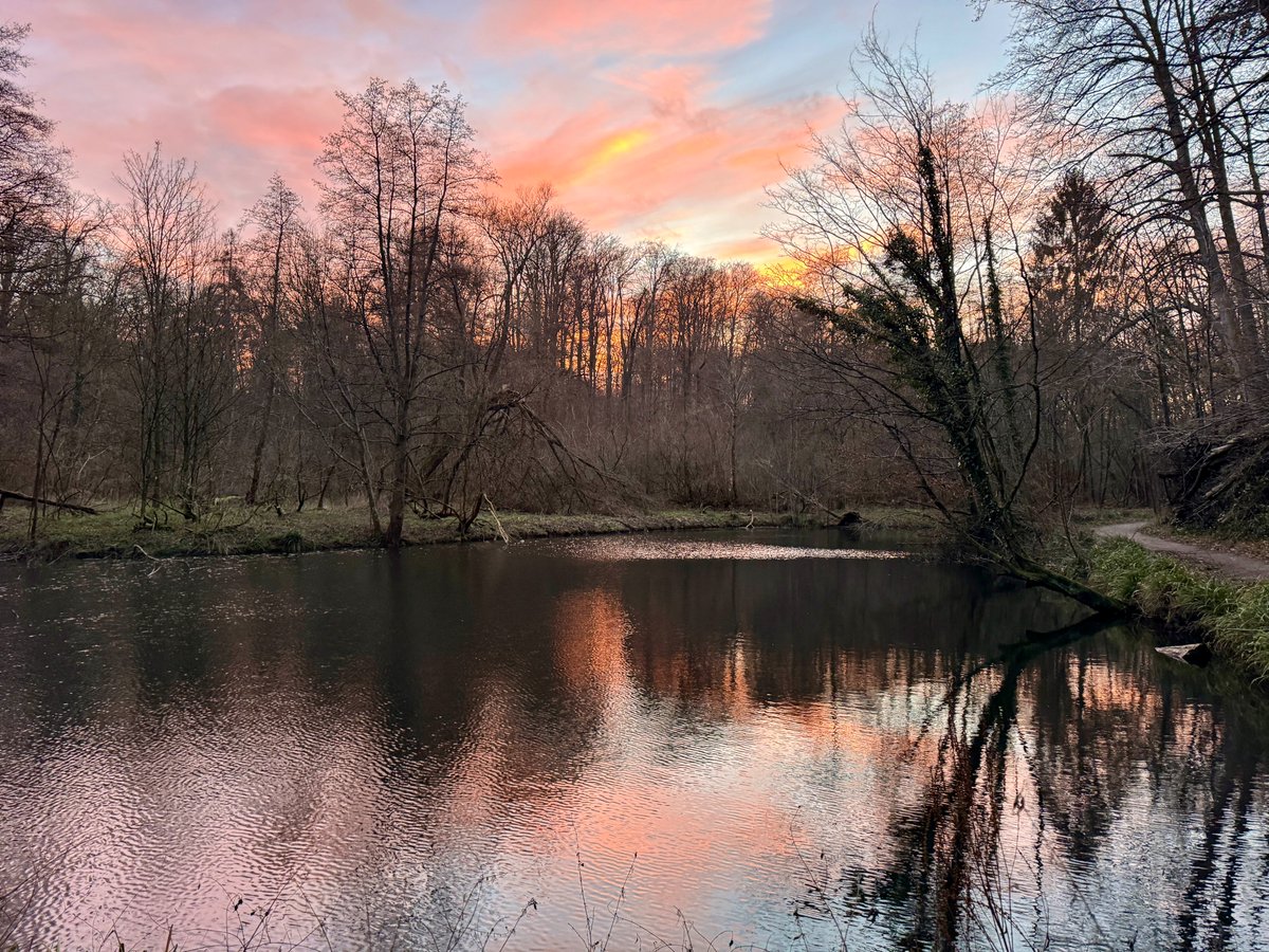 Nicolas Roland tweet media