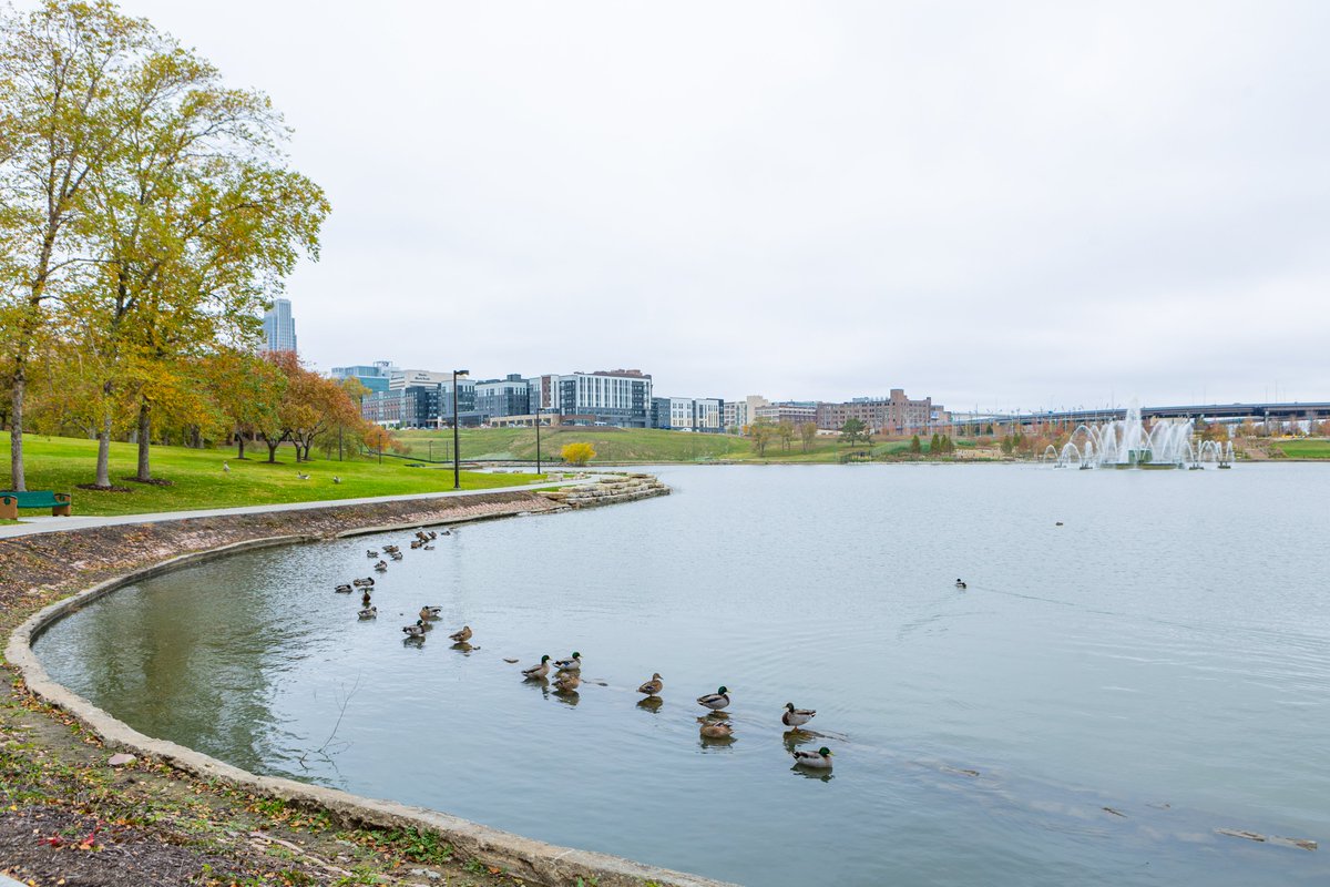 OmahaRiverFront's tweet photo. π¦Happy National Bird Day!
#TheRiverFront https://t.co/Dvm5tZeKlz