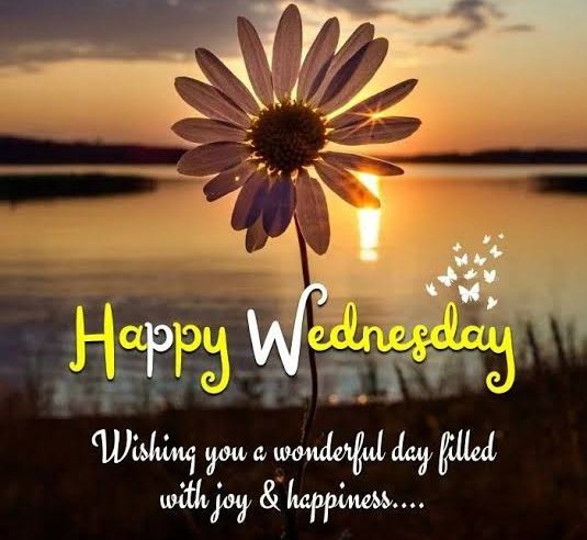Wednesdays are like a breath of fresh air in the middle of a hectic week. Enjoy 😊 #WednesdayMotivation #wednesdaythought #꽃향기_가득한_지수생일_왔단다