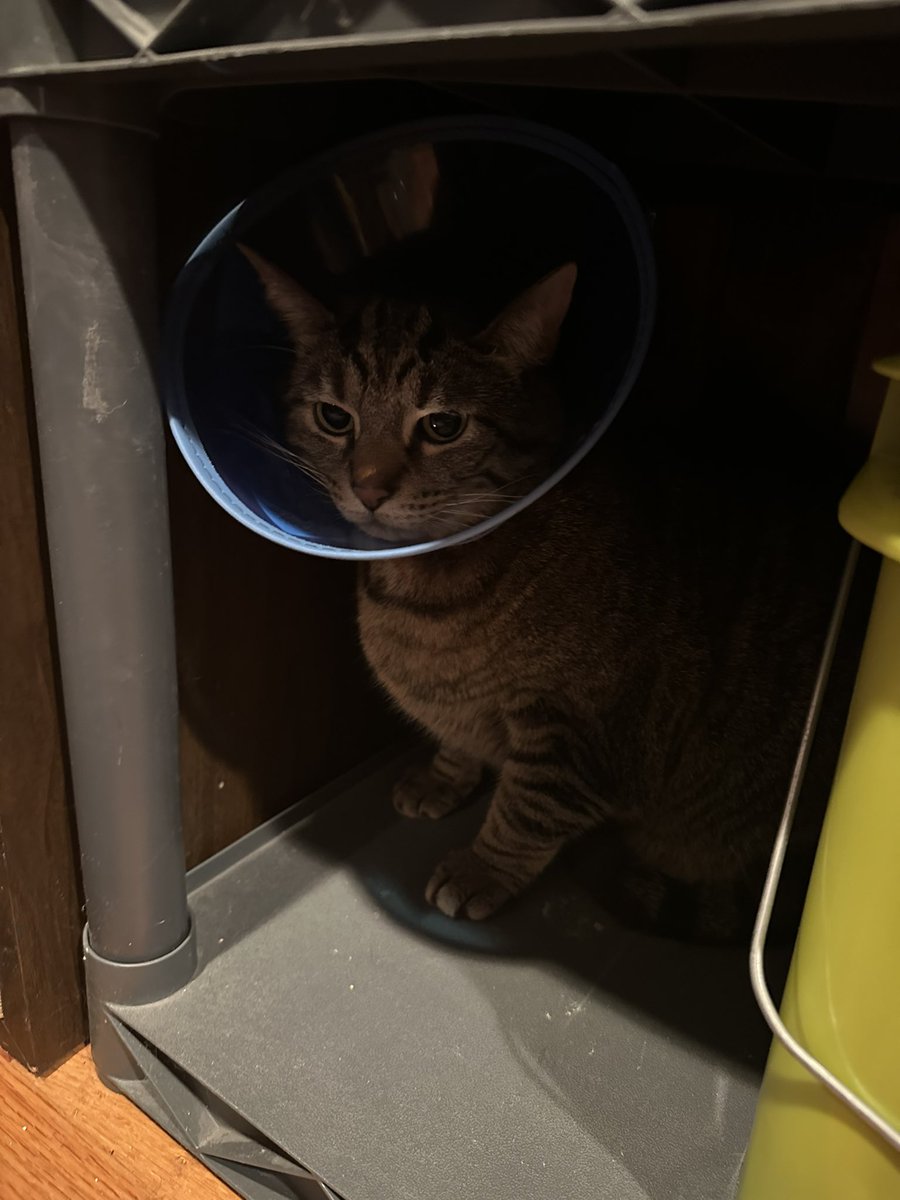 DrDoonMD tweet media