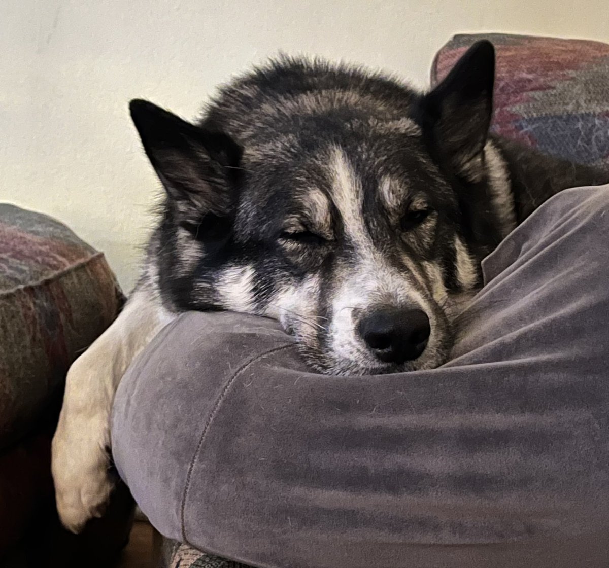 Rod Picott tweet media