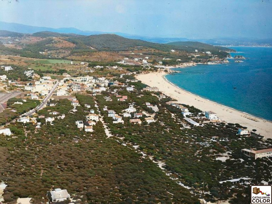 Catalunya Color tweet media