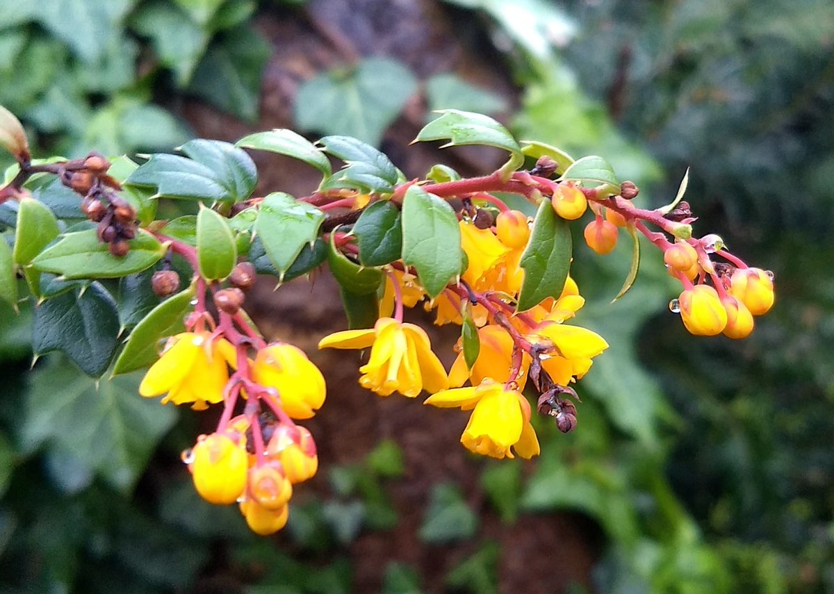 ian (@vappuk) on Twitter photo 