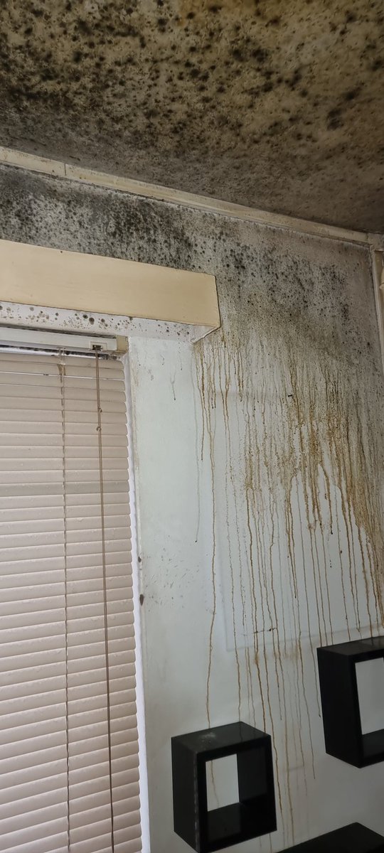 Does this look like a home you would want to live in? Mould and slime covering the walls <a href="/YourGuinness/">Guinness Partnership</a> this is #negligence at its finest when will #landlords take accountability for keeping residents living in these conditions