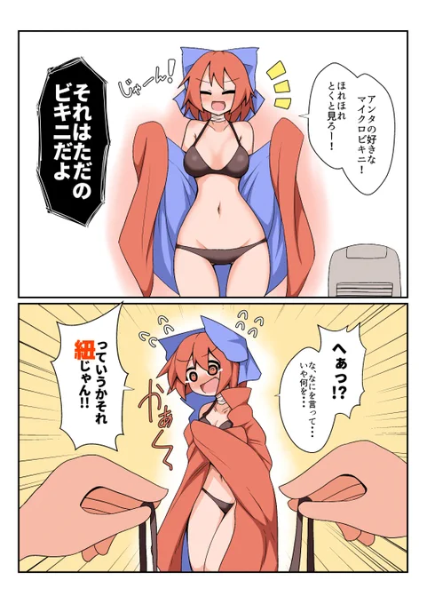 実際どこからマイクロビキニなんですかね 