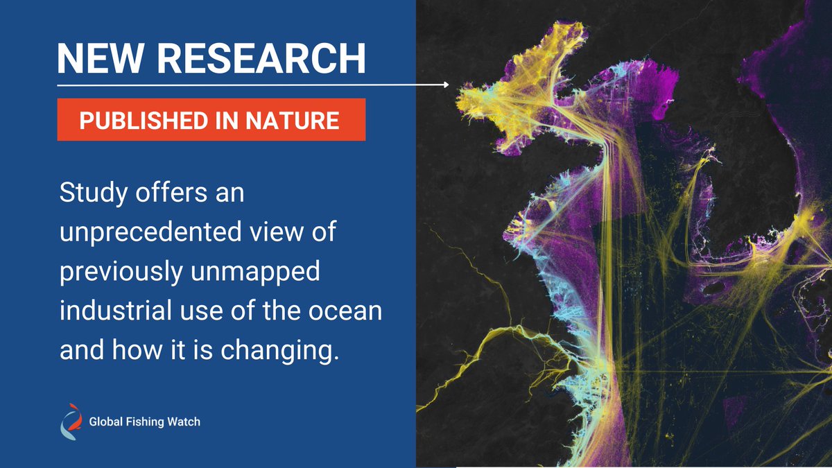 Global Fishing Watch tweet media