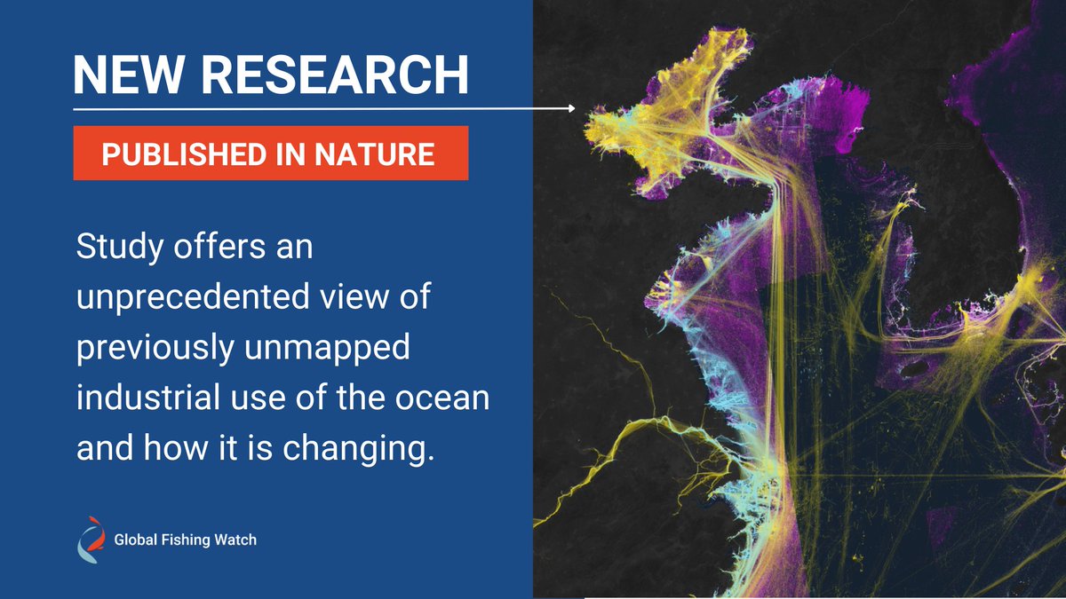 🧵 1/3: We’re excited to share more about our leading role in the groundbreaking study published today in @Nature! 🛰️ The novel research provides an unprecedented view of previously unmapped human activity at sea: globalfishingwatch.org/press-release/…