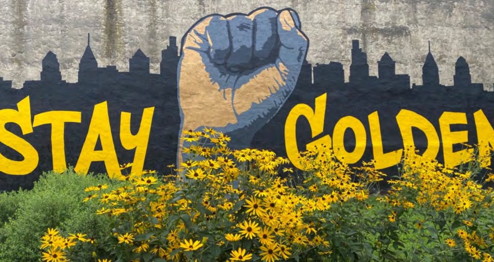 #NativePlant gardens in formerly vacant lots created a pollinator corridor in Philadelphia. These urban gardens: ✔️help #wildlife ✔️provide equitable community access to green spaces ✔️improve air quality ✔️reduce the urban heat island effect See more: ow.ly/8CAE50QkOKQ