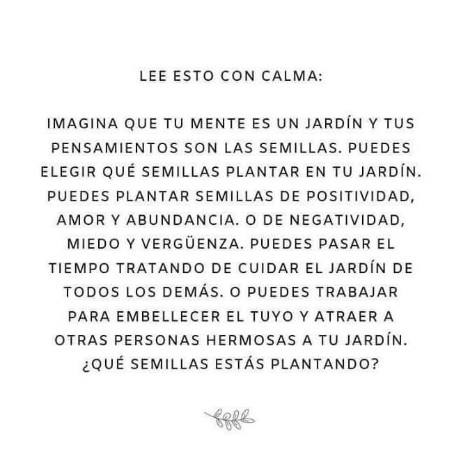 PauloCoelhoDice's tweet photo. https://t.co/JGSw7yDPC9