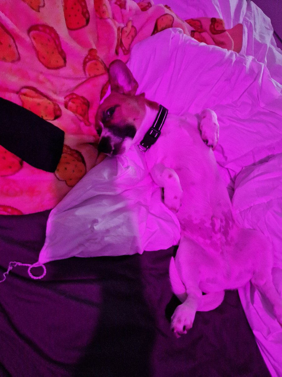 DudeWhereIsMyLife tweet media