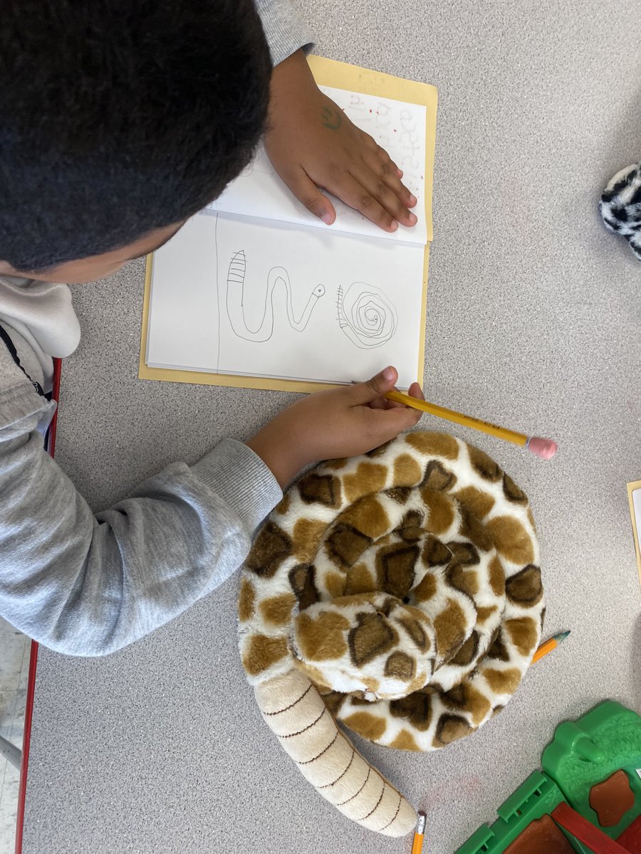 🩵 Love incorporating stuffed animals for still life study- littles enjoy it very much to pick out their own friend.
#AldineConnected #AmplifyAldineArt 
@Escamilla_AISD