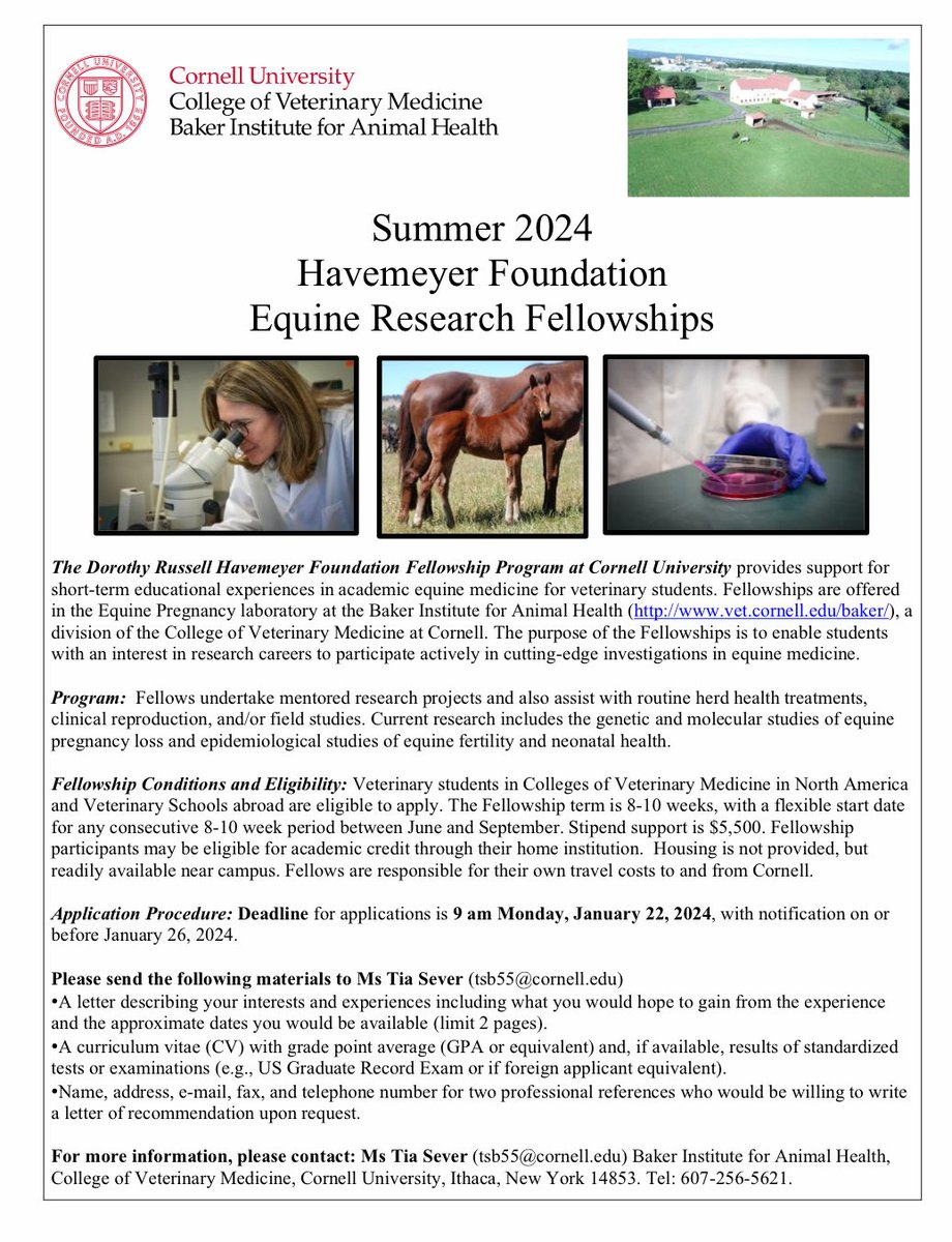 Calling all vet students interested in equine reproduction and research 👇🏼Summer program in our lab open to vet students in USA and international universities. Gain loads of hands on experience and enjoy summer in beautiful Ithaca! Deadline 22 January.