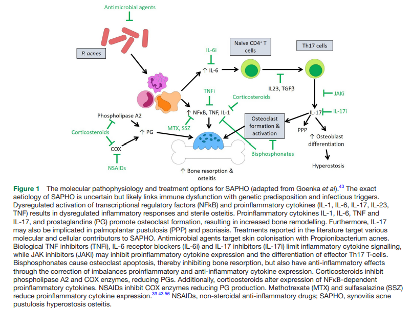 eular_ARD's tweet photo. 👉 How would you treat #SAPHO?
🗂️ A #systematicreview of 28 studies - 796 patients
▶️#NSAIDs
▶️#bisphosphonates
▶️#csDMARDs
▶️#bDMARDs
▶️#tofacitinib
⭕ No #RCTs available
❌ No single treatment sufficiently addresses all SAPHO-associated symptoms
🔗https://t.co/MlqZU8vEvZ https://t.co/RWS2zakYZ6