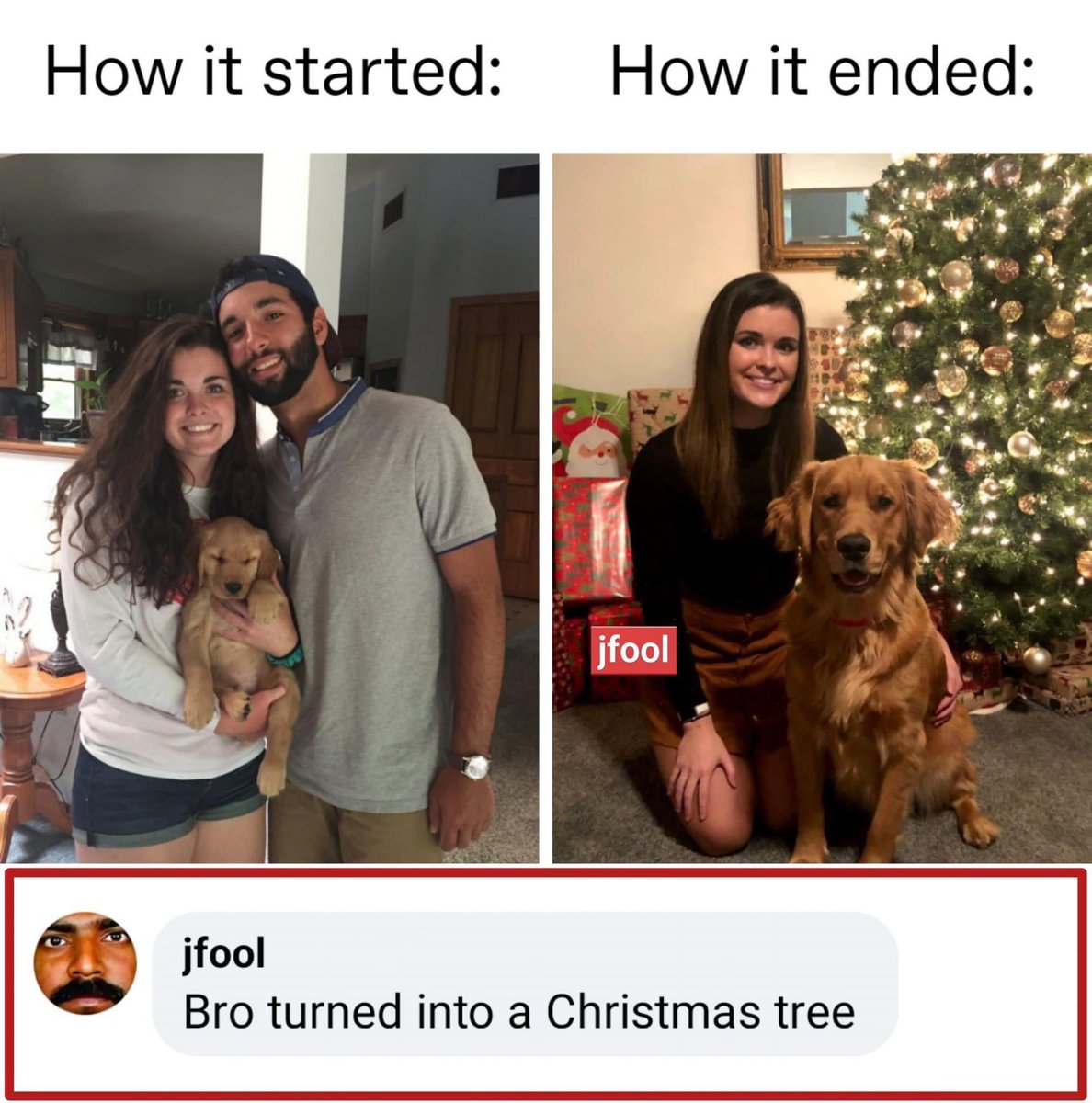 LiLFun_'s tweet image. #meme #comic #LiLFun