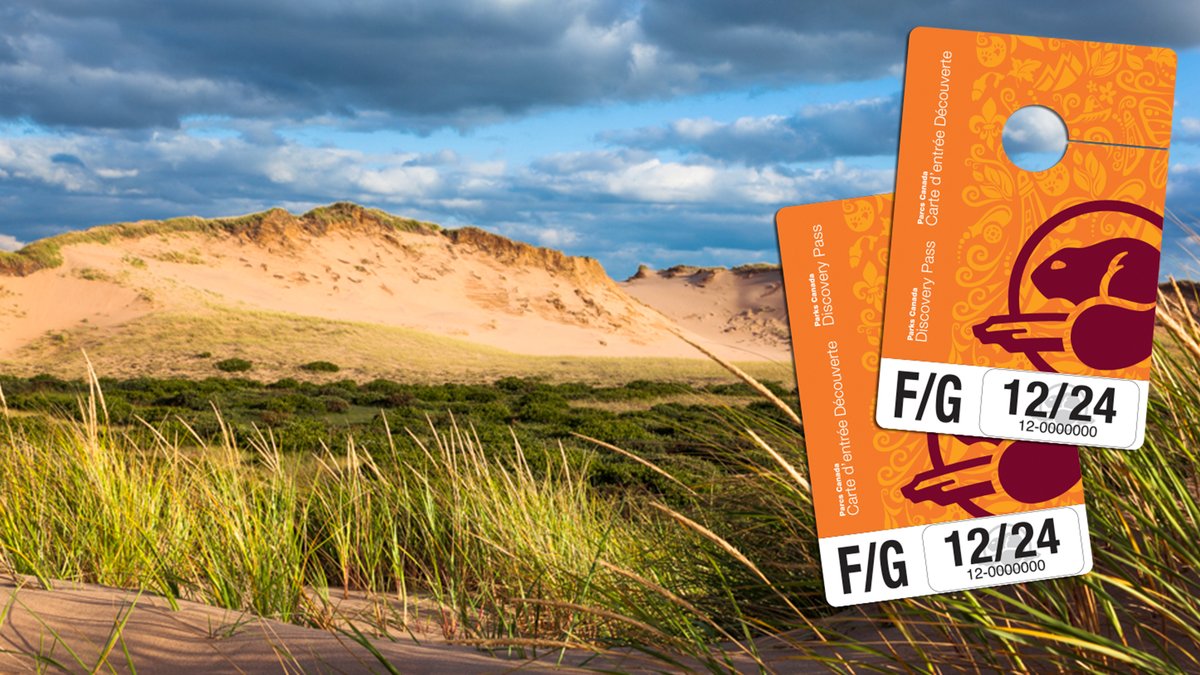 Take care of your mental and physical health by spending time outdoors 🌲 with the latest edition of the #DiscoveryPass! 🤩 Enjoy the benefits of nature on your next visit to PEI National Park.💚 Buy yours here ➡ parks.canada.ca/voyage-travel/…