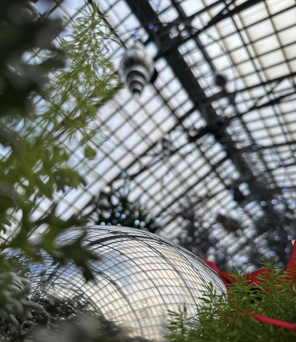 If you're looking to start the year with some floral fun, come visit the Winter Flower Show 'Celebrating Silver' before it closes on Sunday, January 7th. We’re open until 8pm today and every Wednesday. Grab your reservation here: garfieldconservatory.org/visit 
📸: @internsusie606
