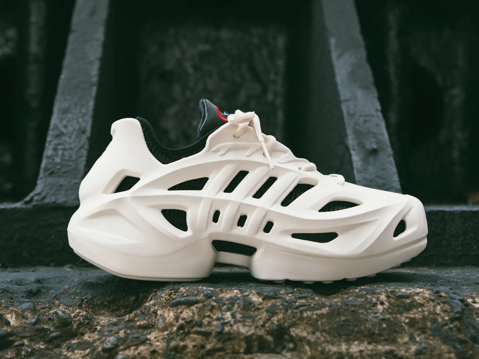 Adidas 75 shop v2
