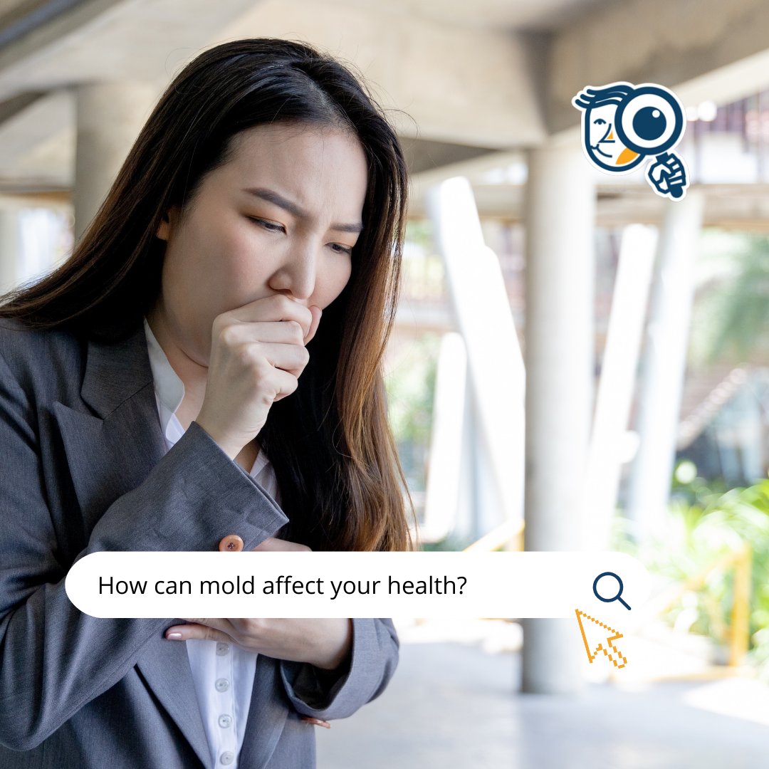 As indoor air quality specialists, we inspect buildings for mold and offer testing results and remediation protocols. 

In this article, you will learn what mold is, where it grows, how it affects health, and when to seek out the pros. 

airqualityassessors.com/how-mold-can-a…