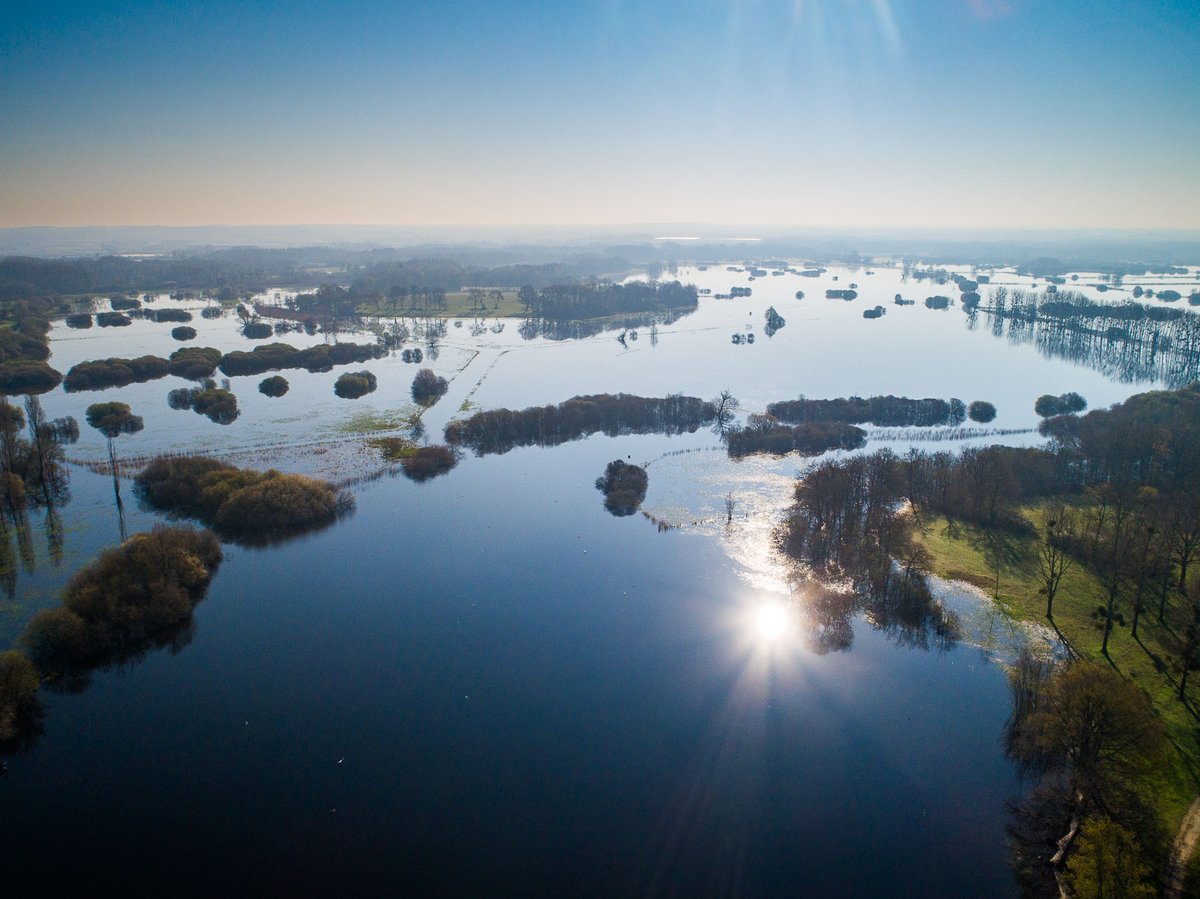 Le château et les marais de Goulaine en hiver en #LoireAtlantique @vignoblenantes #droneshots