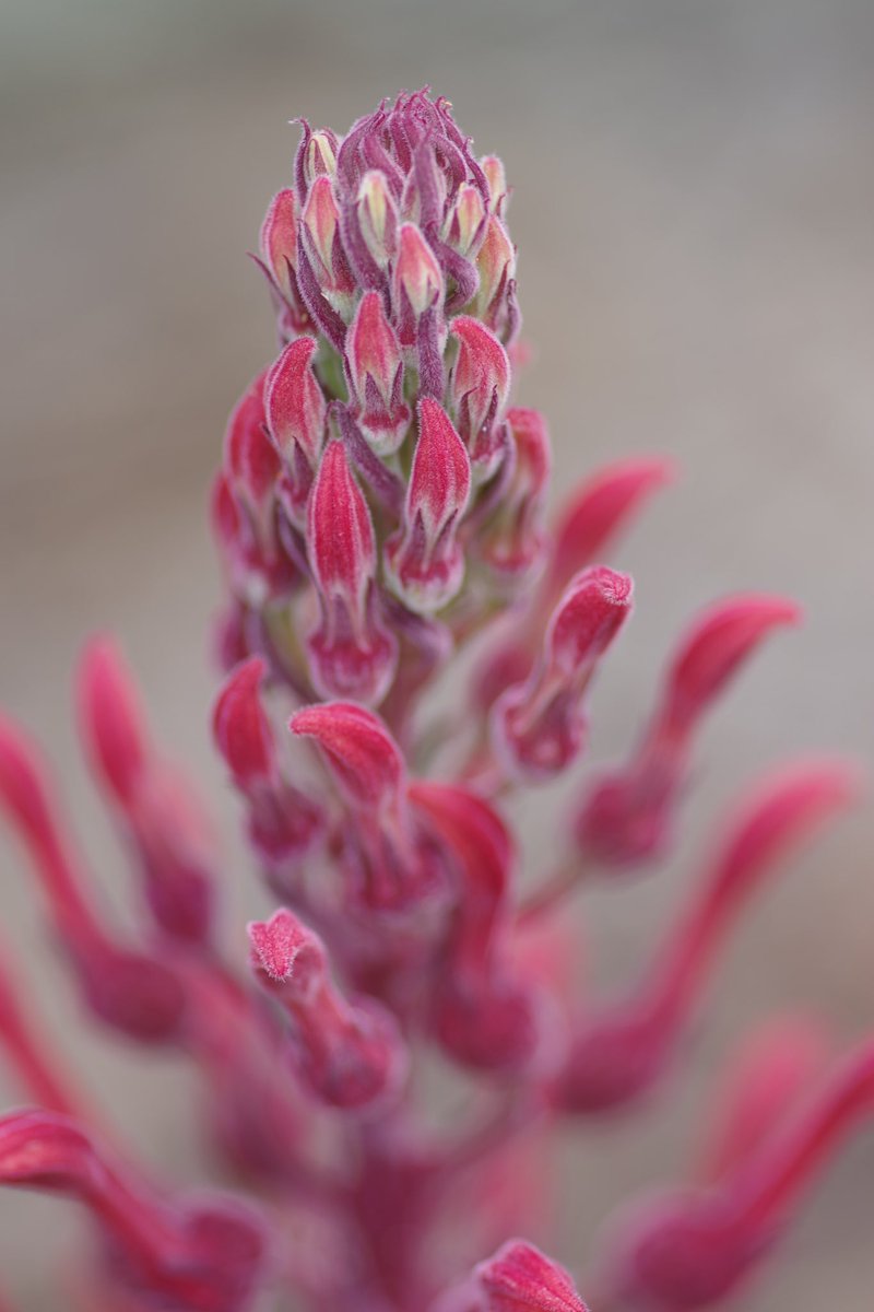 John Sheely tweet media