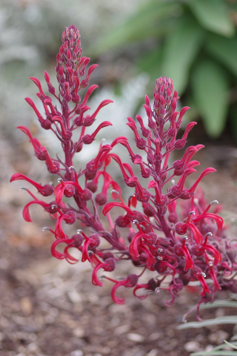 John Sheely tweet media