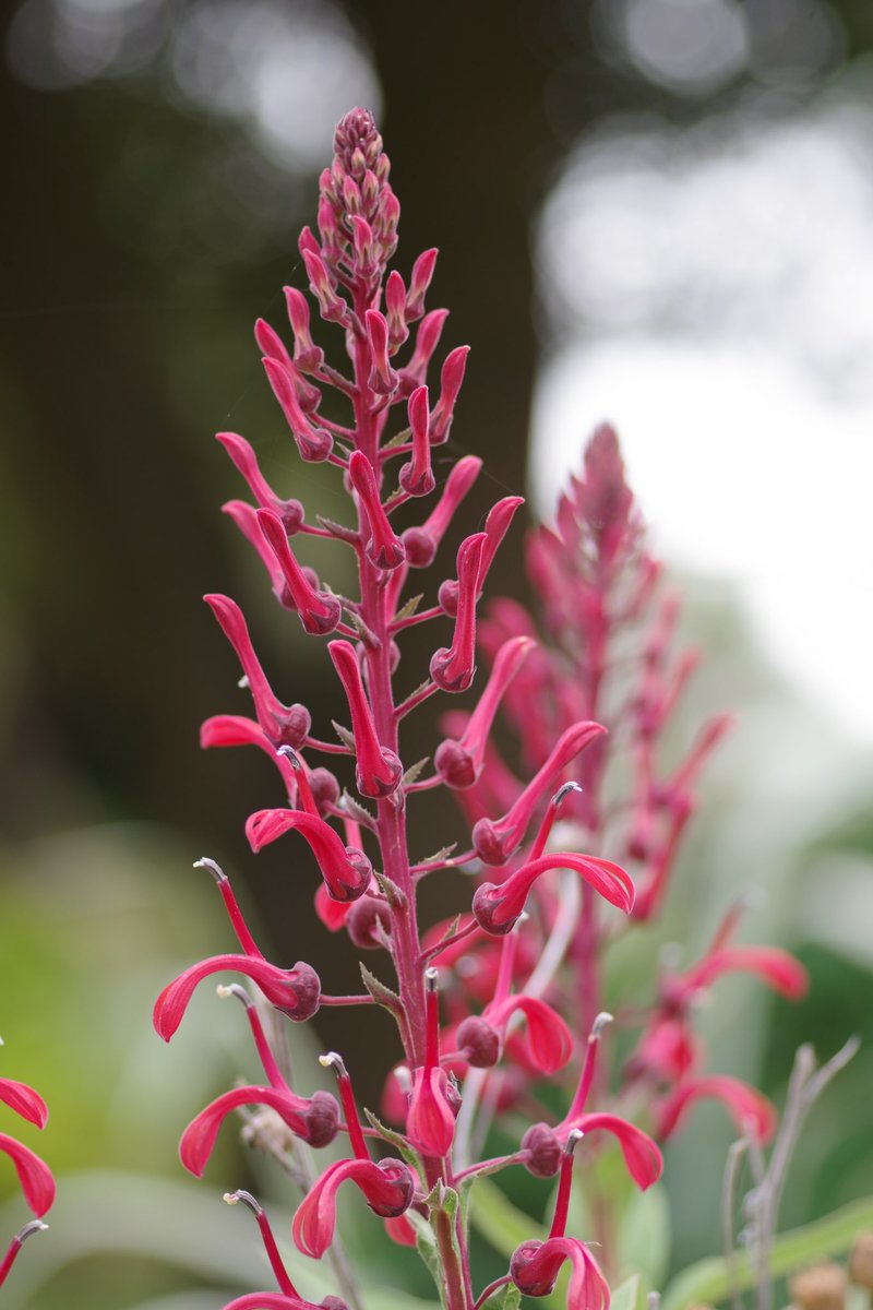 John Sheely tweet media