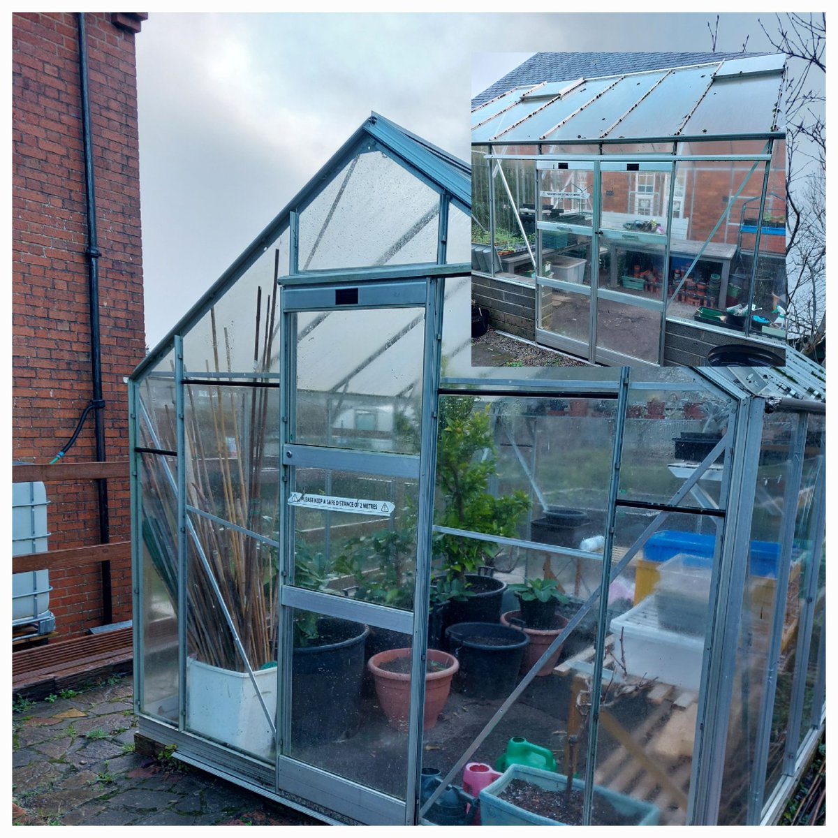 StPetersComm's tweet image. Happy New Year to you all. A quick walk around the Gardens this morning. Apart from 1 cloche missing in action! thankfully, everything was just as we left it. Really pleased to see the fruit on one of the citrus trees and the cabbage, garlic, onions and beans doing well 🧅🫛🧄🍊