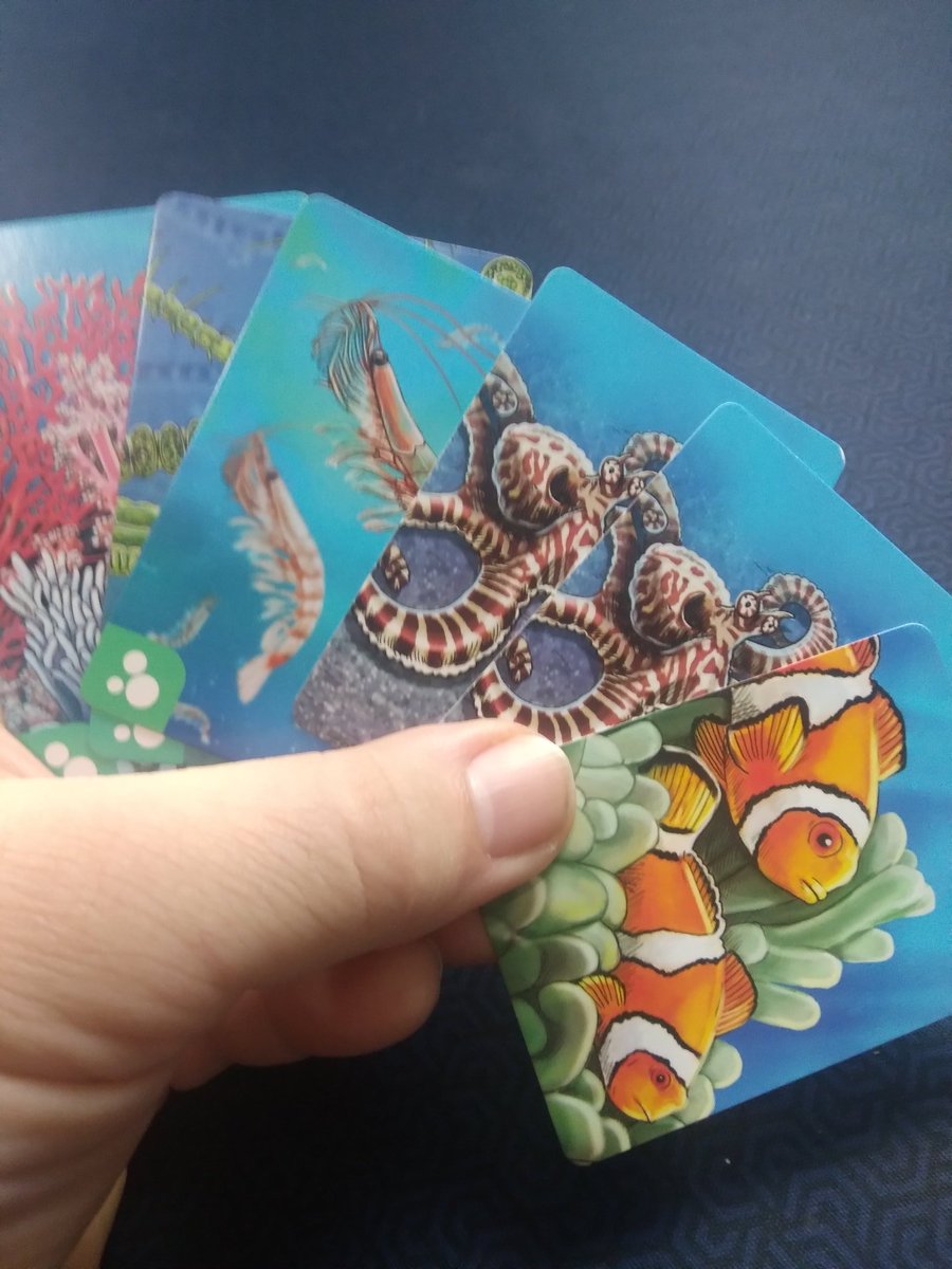 Meeple Grande tweet media