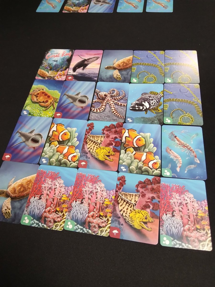 Meeple Grande tweet media