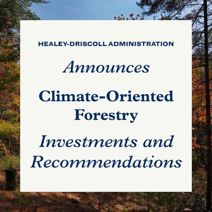Healey-Driscoll Administration Announces Investment for Forests as Climate Solutions Initiative