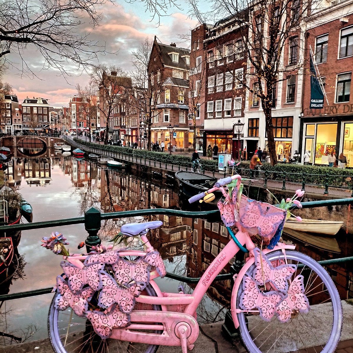 🌳🌳 Yorkshire Explorer 🌳🌳 tweet media