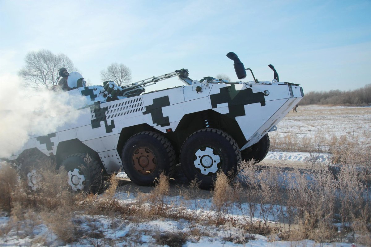 ZBL08 digital snow camo