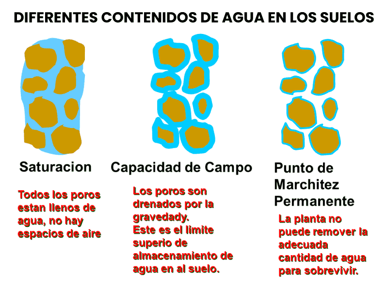 patucomendez's tweet photo. #5d7
En este punto las plantas pierden la capacidad de #succión y siguen perdiendo #agua mediante la #transpiración. Se pierde la #turgencia de la planta resultando en su #marchitez. https://t.co/qL9LhIxsBQ