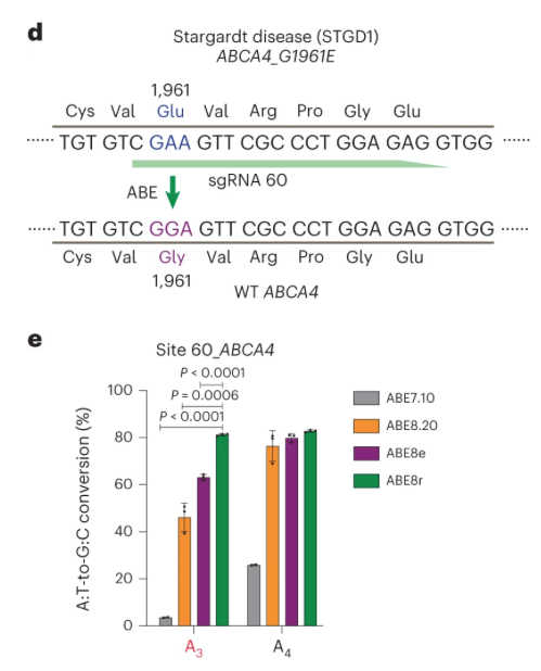 NikoMcCarty's tweet image. Biology is (still) the world&apos;s most advanced technology.

Here are four interesting new papers, published yesterday.

***
Two new adenine base editors.
Papers: nature.com/articles/s4158… and 
The first base editors were known as cytosine base editors because they could substitute a…