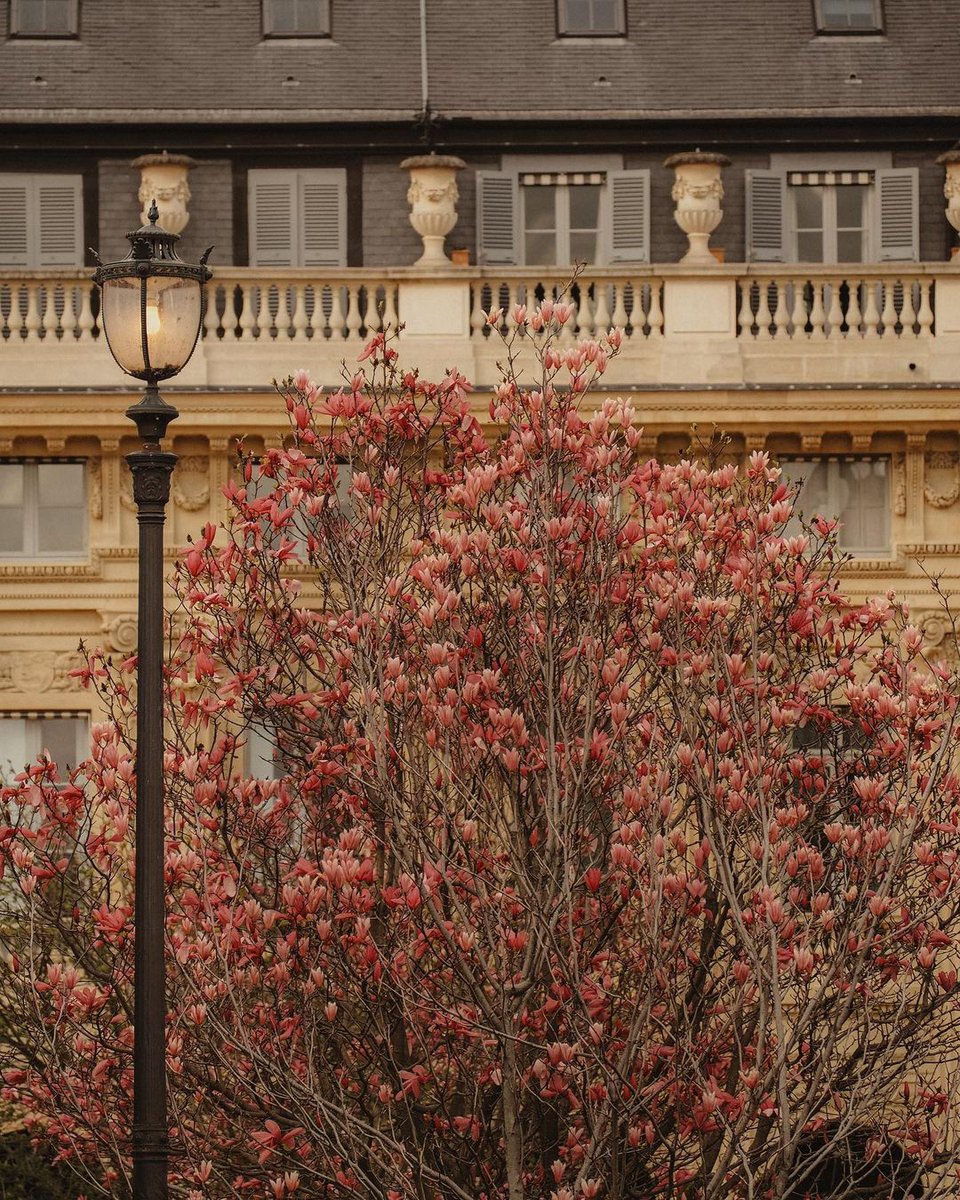 Romantic Academia 🤍 Paris
By: gisforgeorgina
