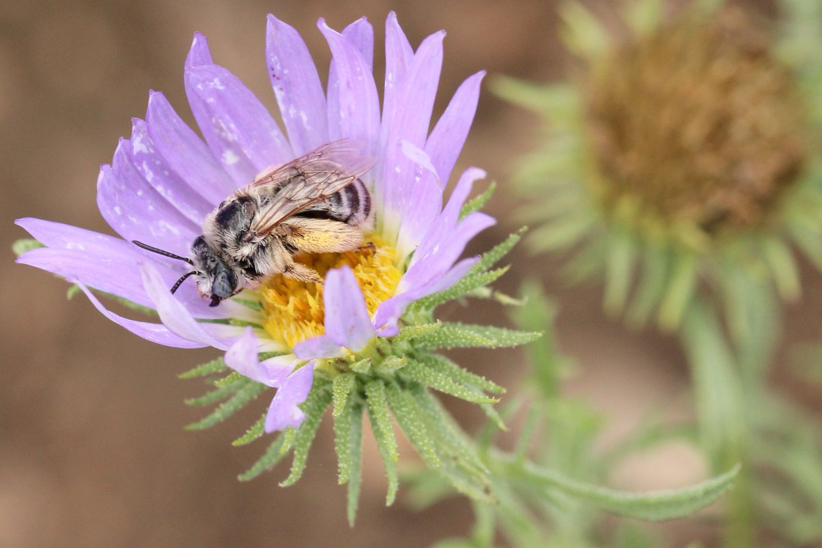 CO Dept of Natural Resources tweet media
