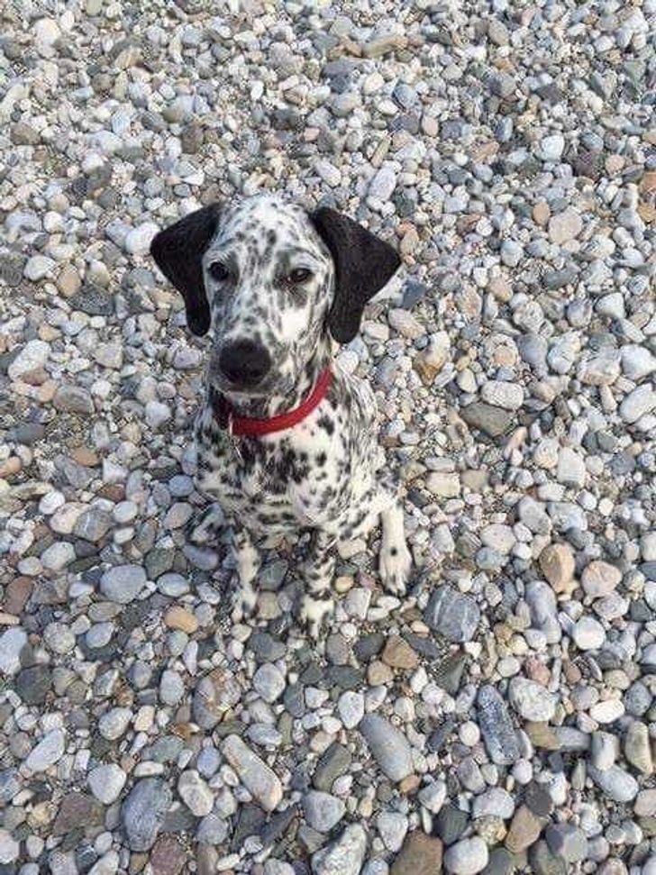 twaniimals's tweet photo. https://t.co/cocAjHHdFq