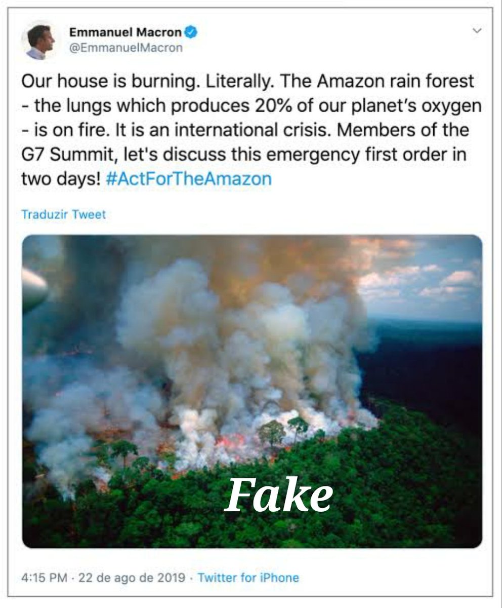 AmazoniaAzulBR tweet picture